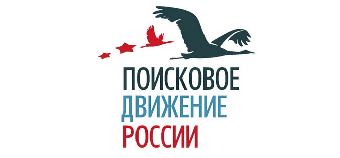 Проекты поискового движения россии