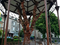 Фотогалерея Монпелье / Photo gallery Montpellier