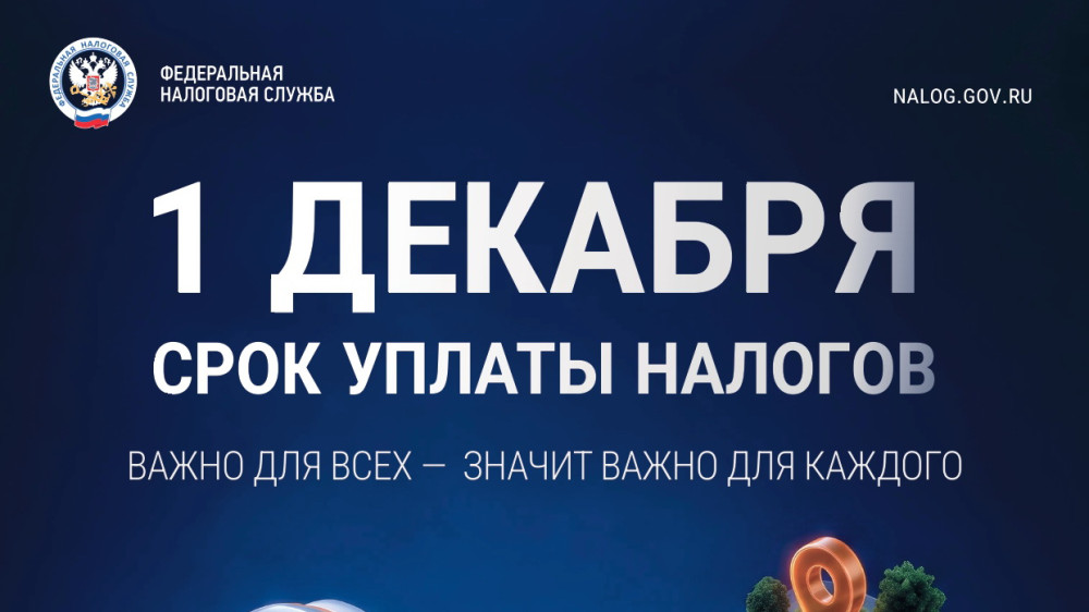 Имущественные налоги необходимо уплатить не позднее 1 декабря